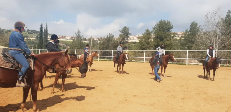 קורס מדריכי רכיבה טיפולית - עבודה עם סוסים רגישים